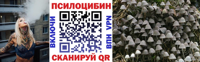 Галлюциногенные грибы Magic Shrooms  omg вход  Очёр 