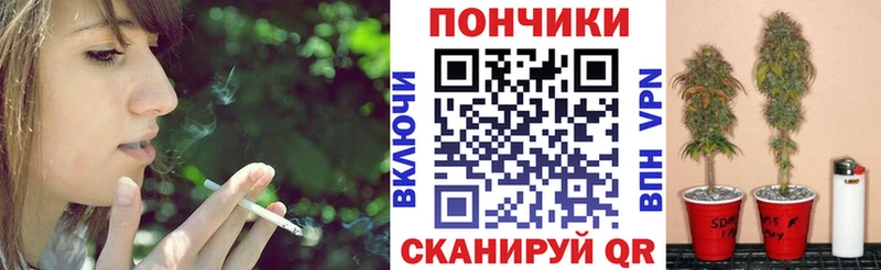 как найти закладки  Очёр  Шишки марихуана планчик 
